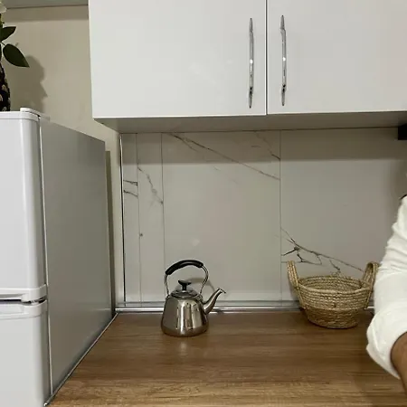 Apartment Andra
