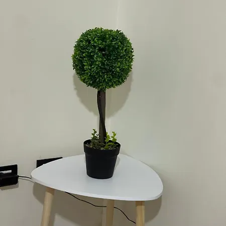 Andra Apartment